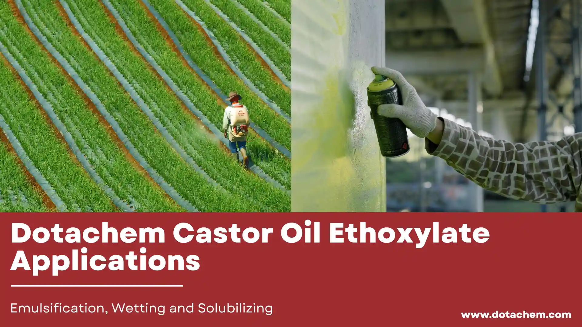 Emulsification၊ Wetting နှင့် Solubilizing တွင် Dotachem Castor Oil Ethoxylate အက်ပလီကေးရှင်းများ