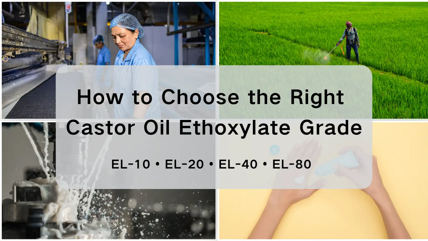 EL-10 မှ EL-80- Ethoxylation သည် Castor Oil Ethoxylate အဆင့်ရွေးချယ်မှုကို မည်ကဲ့သို့အကျိုးသက်ရောက်သည်